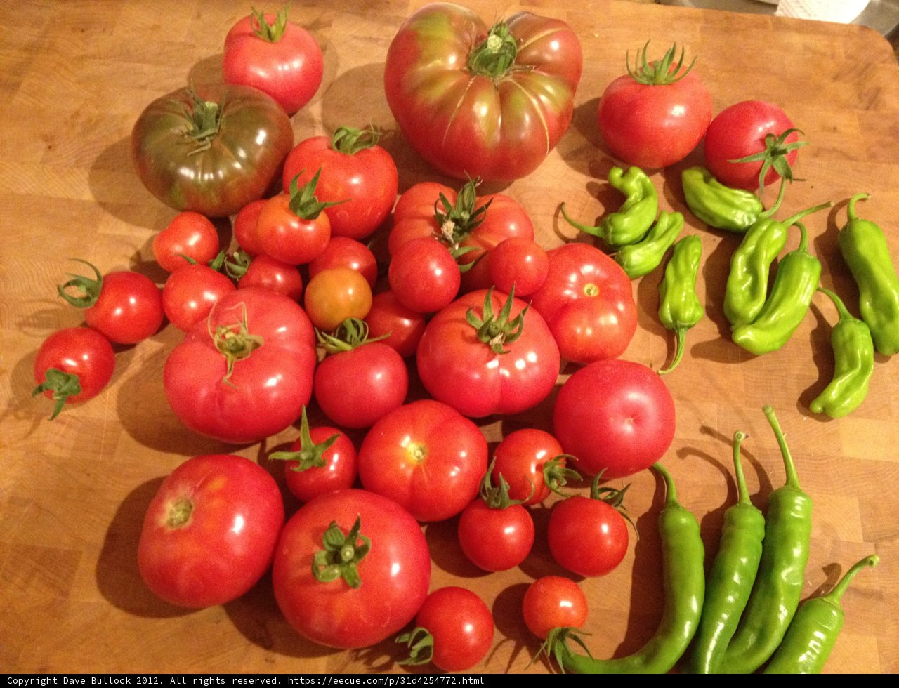 Fresh Tomatoes and Peppers
