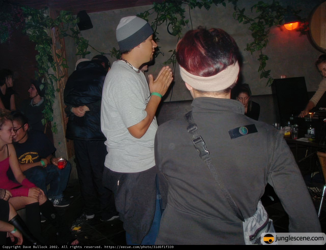 Nightclub Crowd