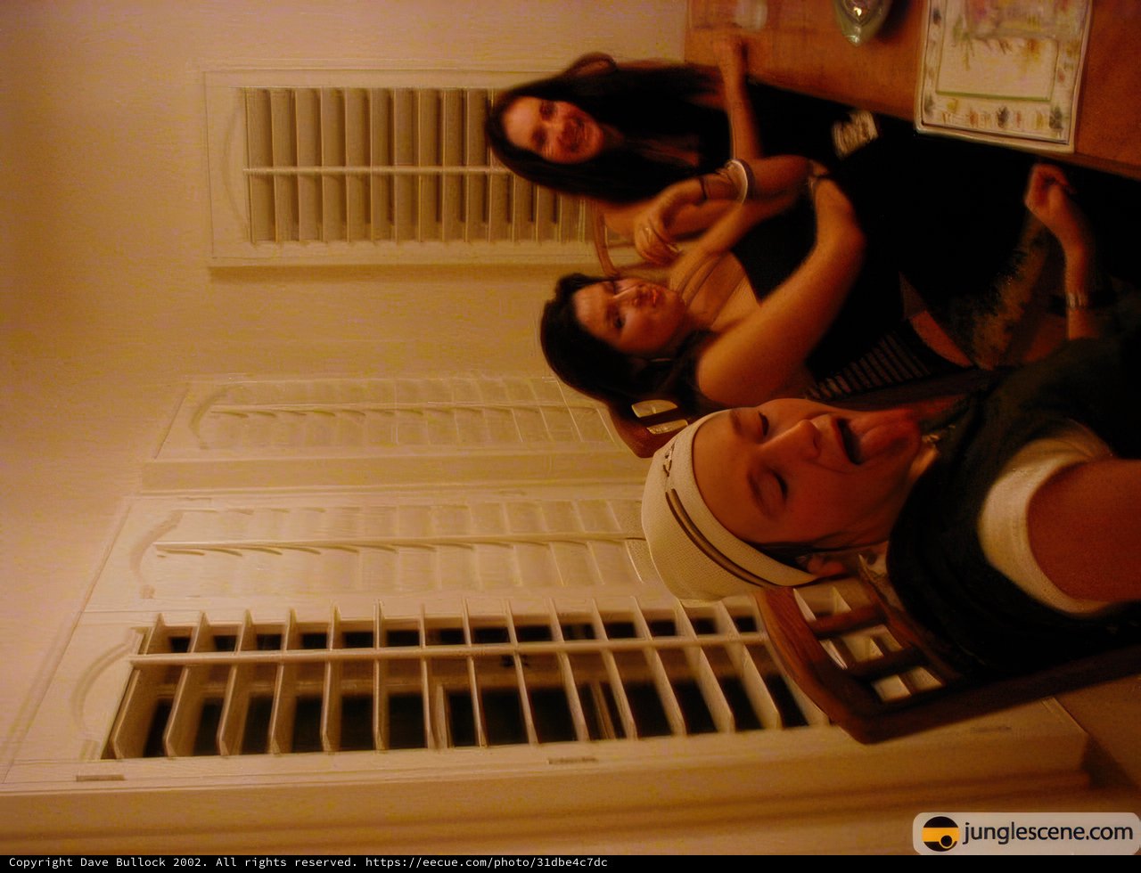 The Three Ladies Devouring the Russian Dinner