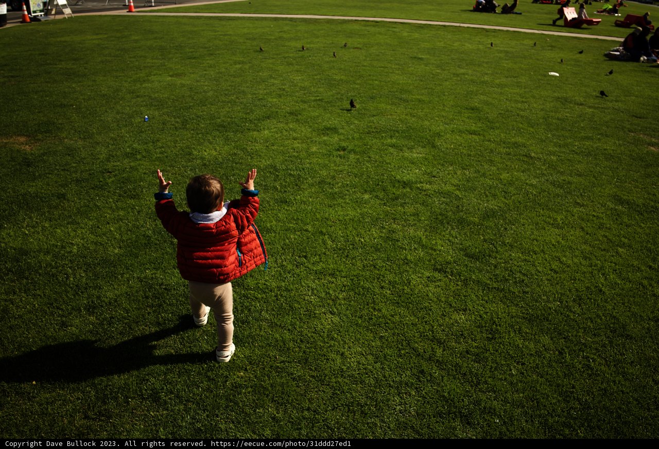 A Young Explorer's Adventure Unfolds