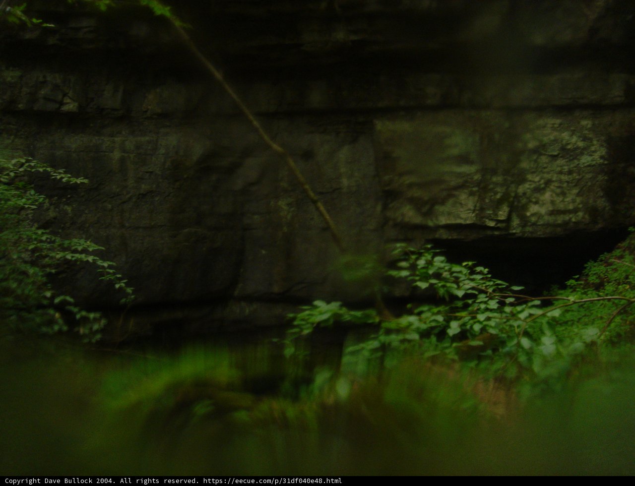 Majestic Rock Formation Amidst Lush Vegetation