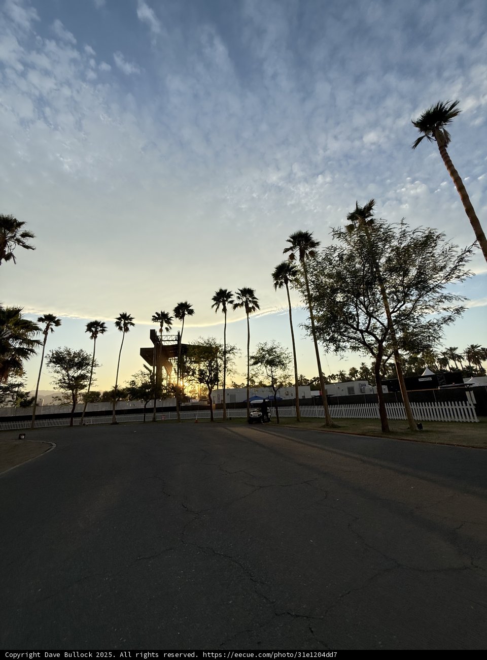 Palm Silhouettes at Dusk