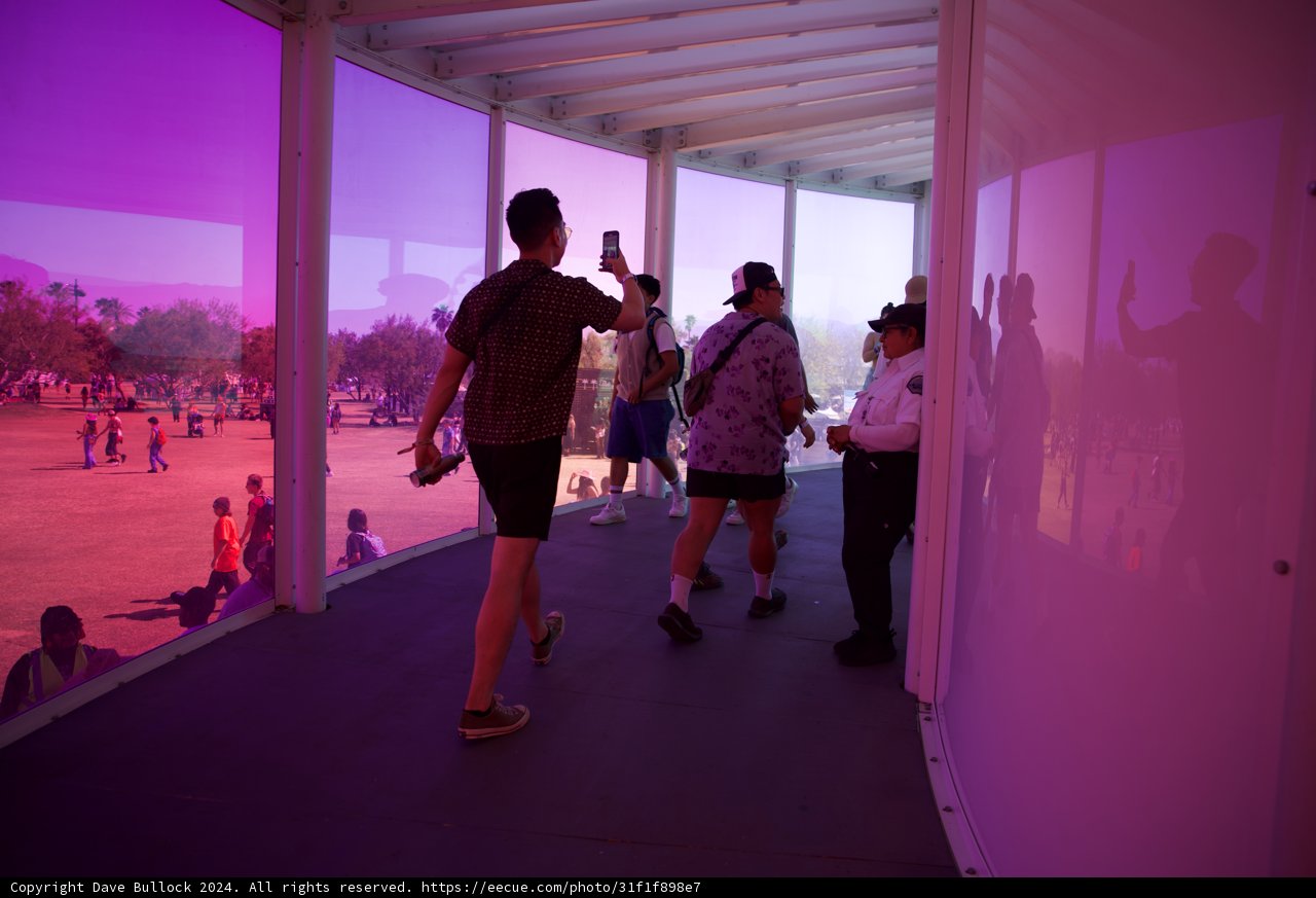 Purple Haze: Candid Moments at Coachella 2024
