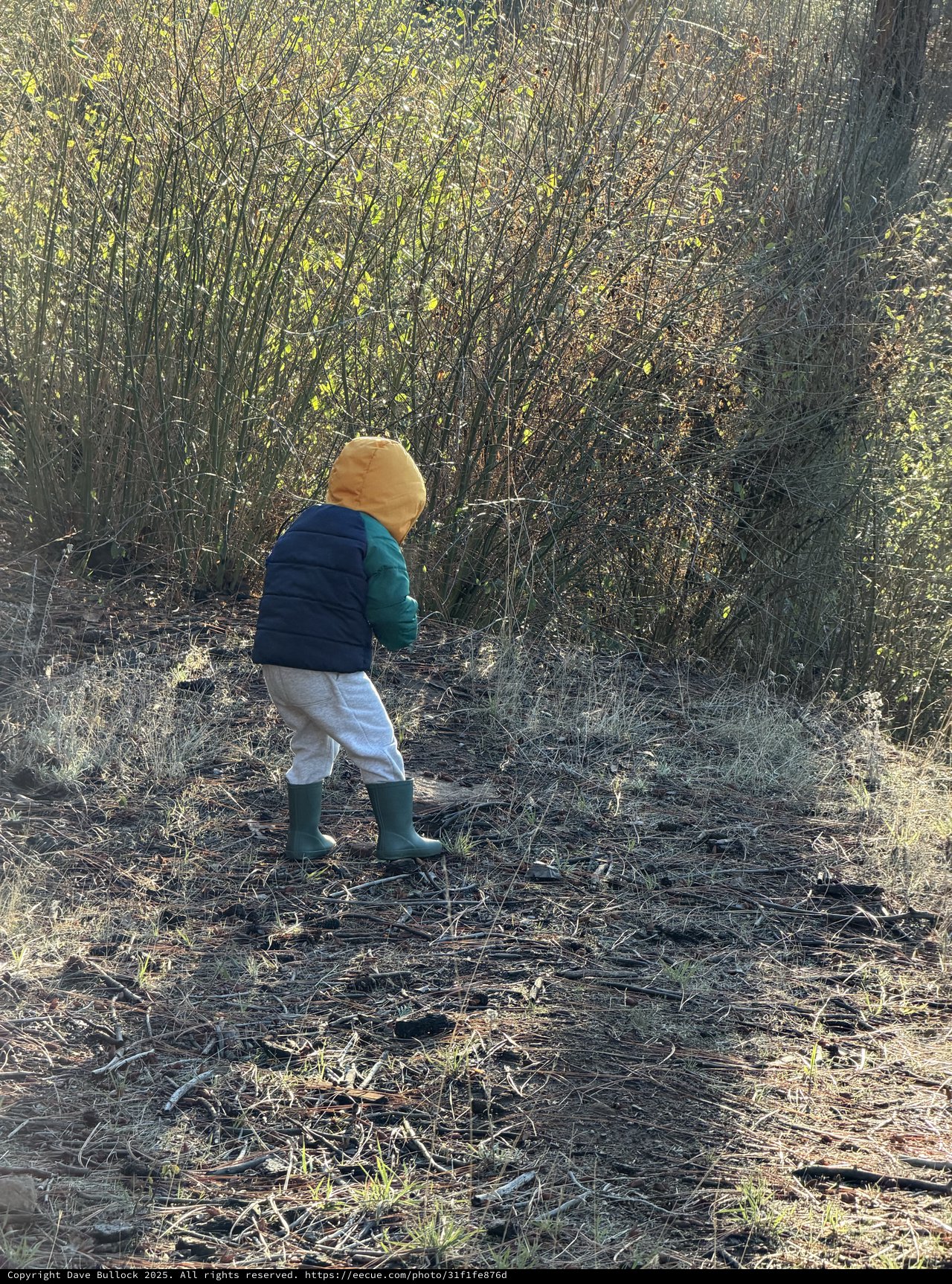 Toddler Explorer Discovers Nature's Winter Wonderland