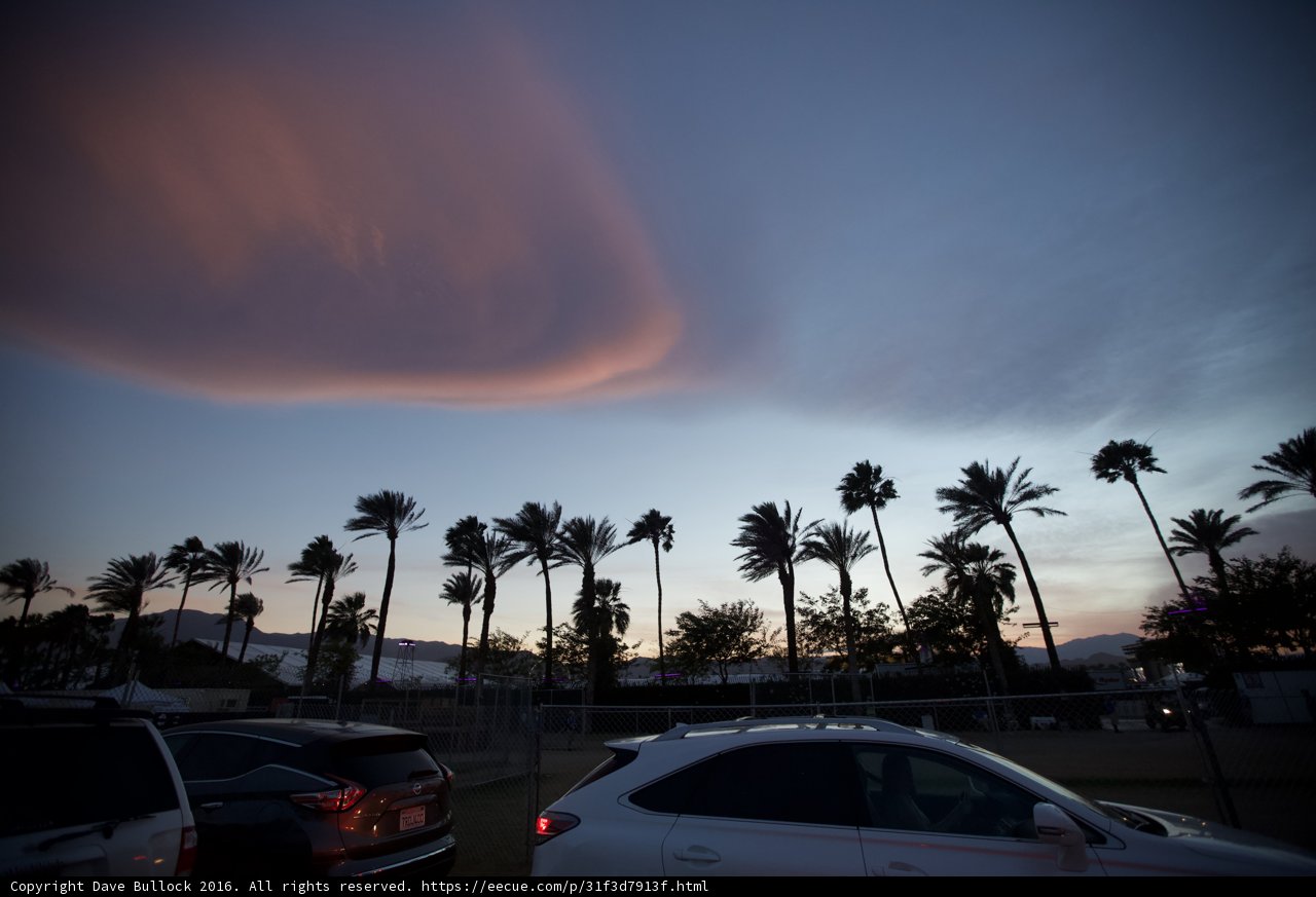 Cloudy Palm Trees