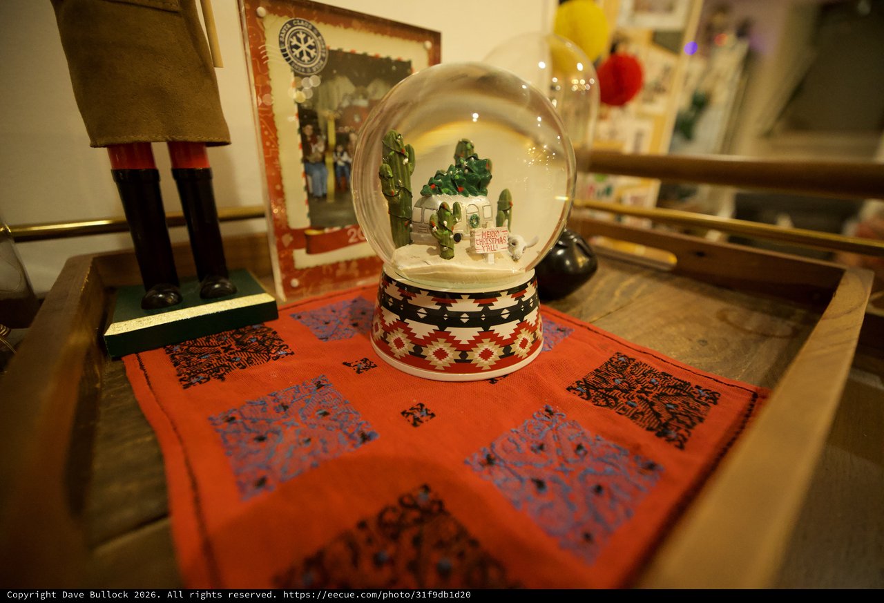 Southwest-Themed Christmas Snow Globe with Desert Scene