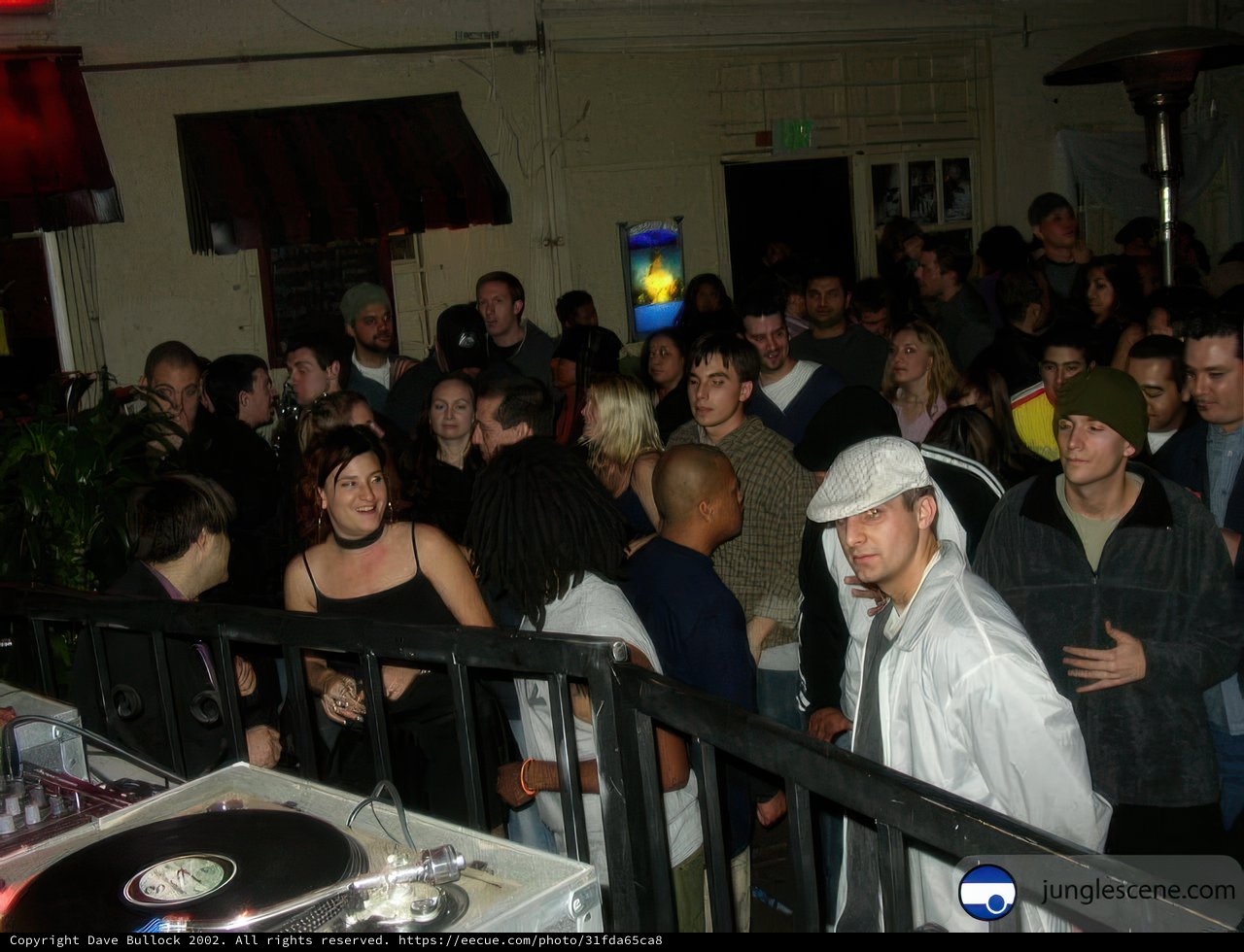 Nightclub Entertainment