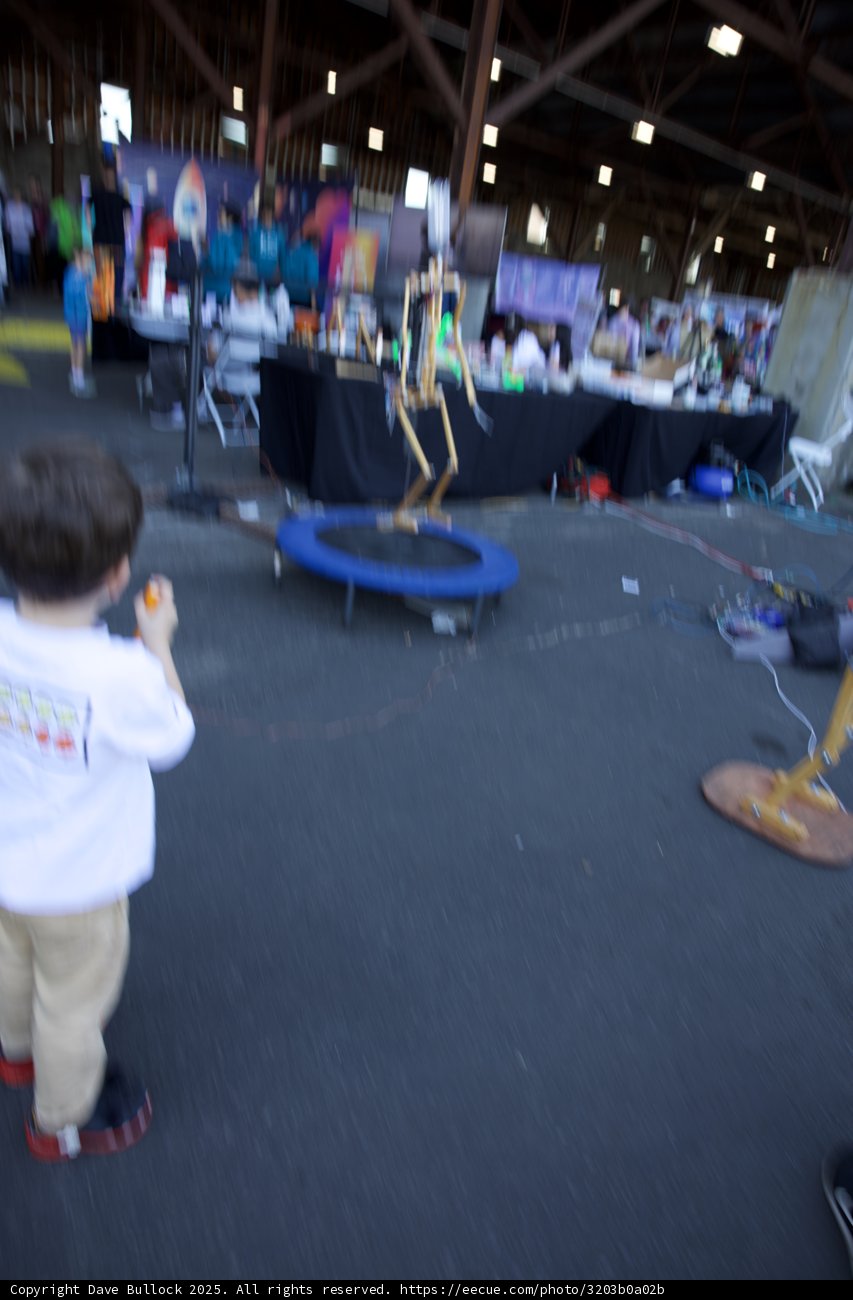 Taking Leaps at Maker Faire