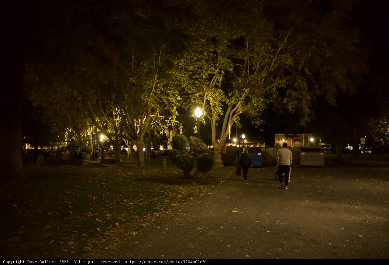 Nocturnal Stroll Through Sonoma