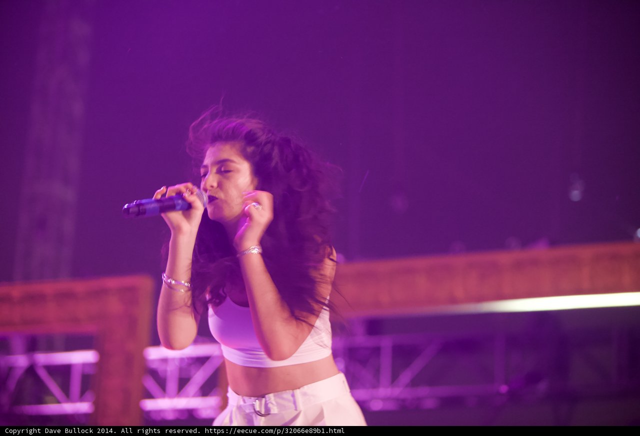 Singing the Night Away