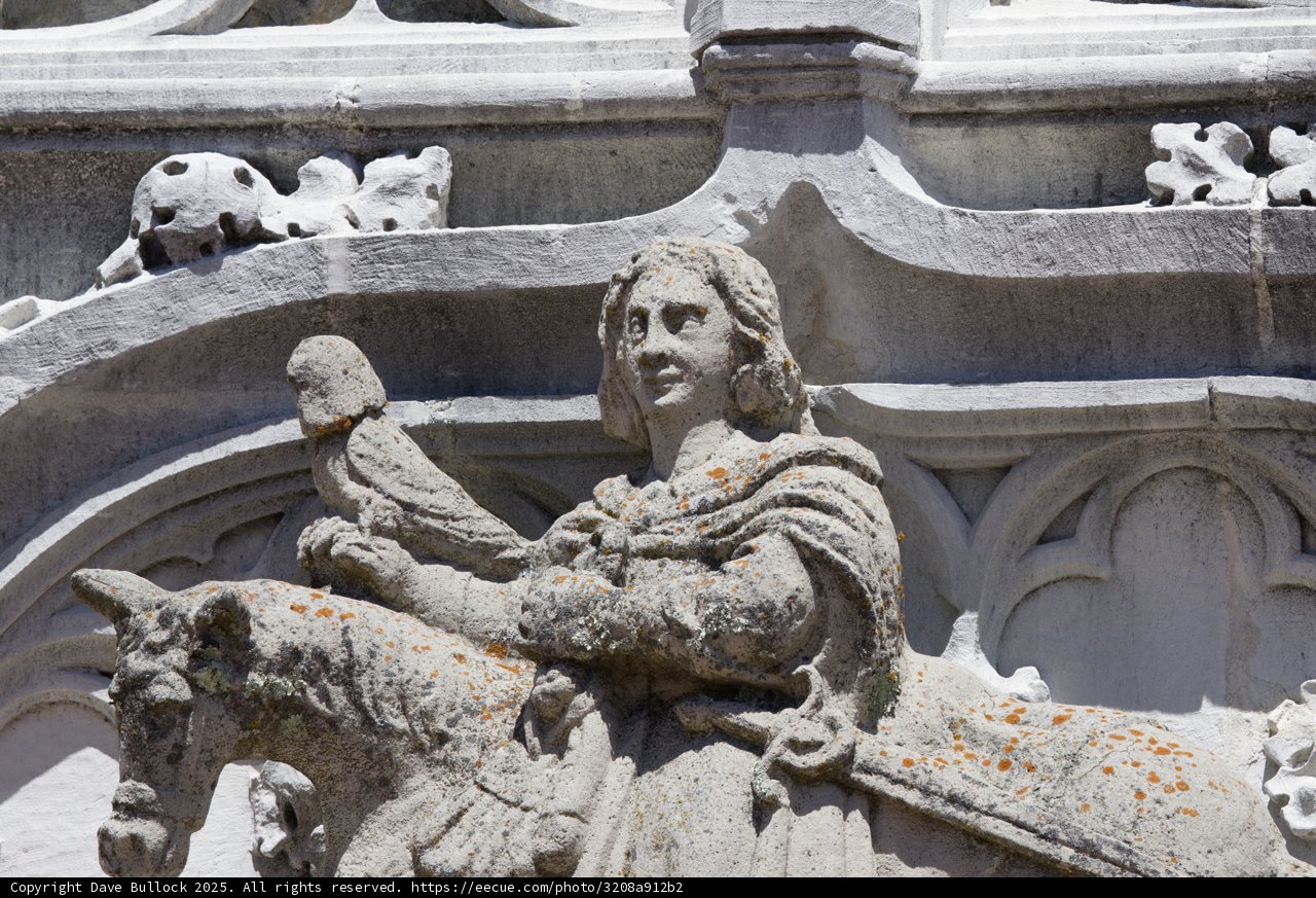 Elegance in Stone