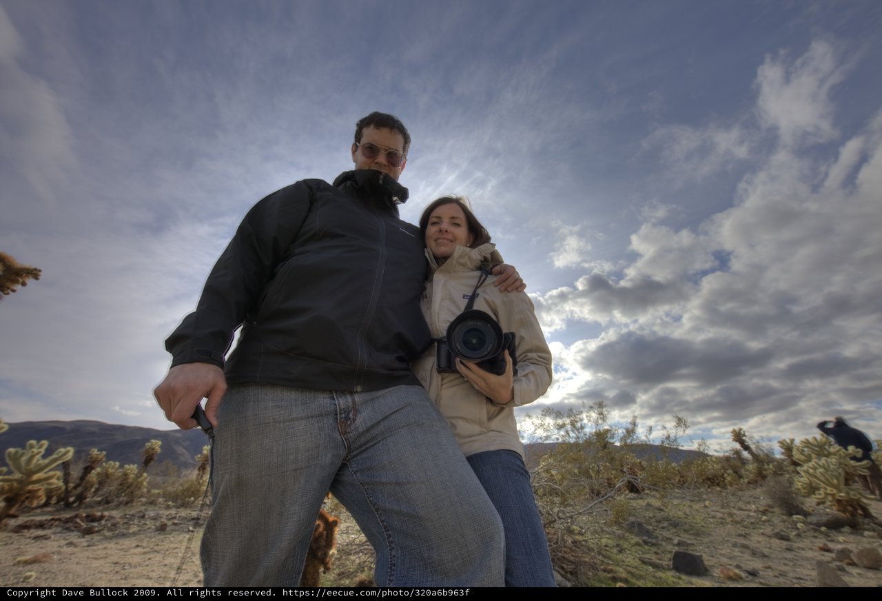 Couple Poses Among Joshua Tree Desert Cacti
