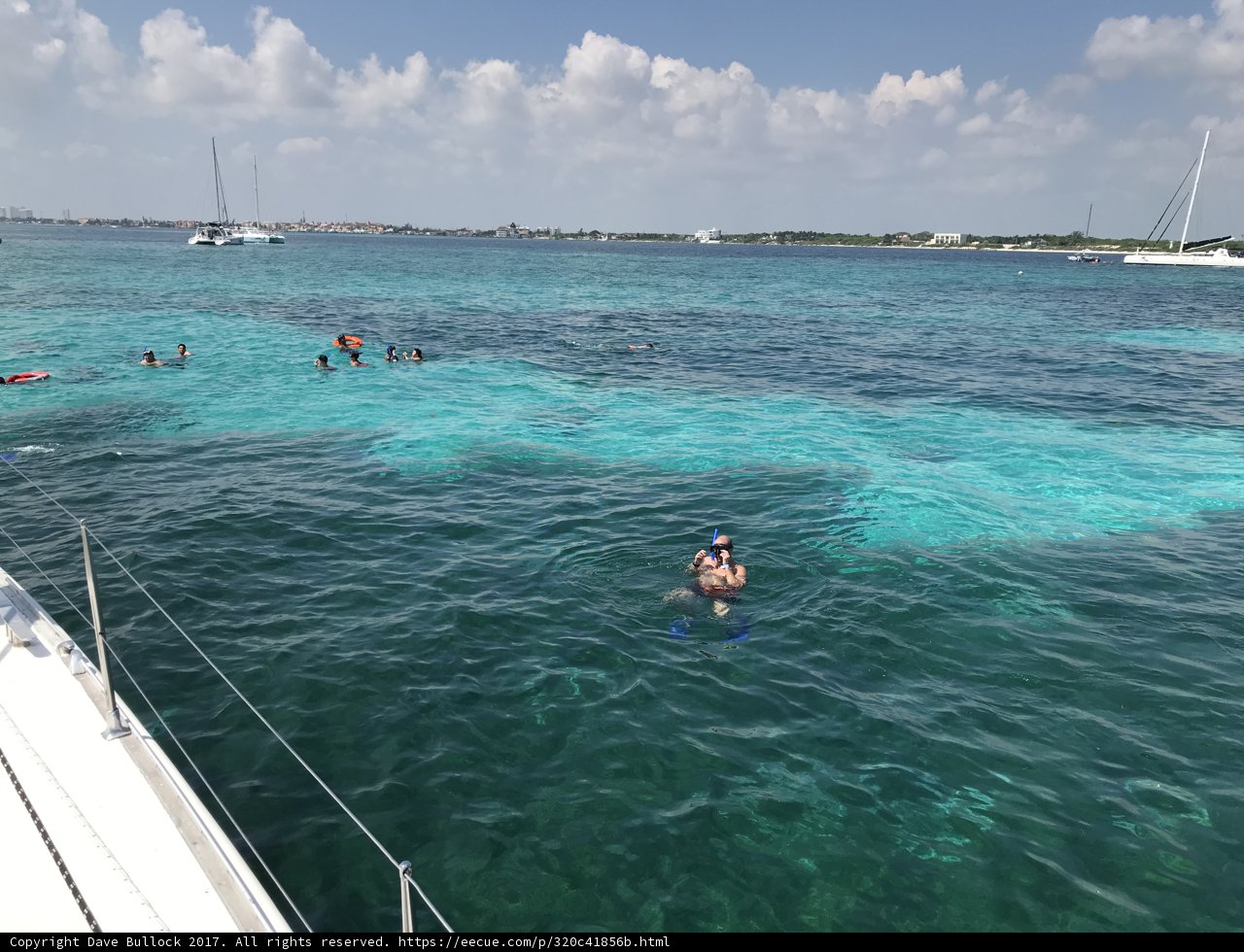 Splashing Fun in the Ocean