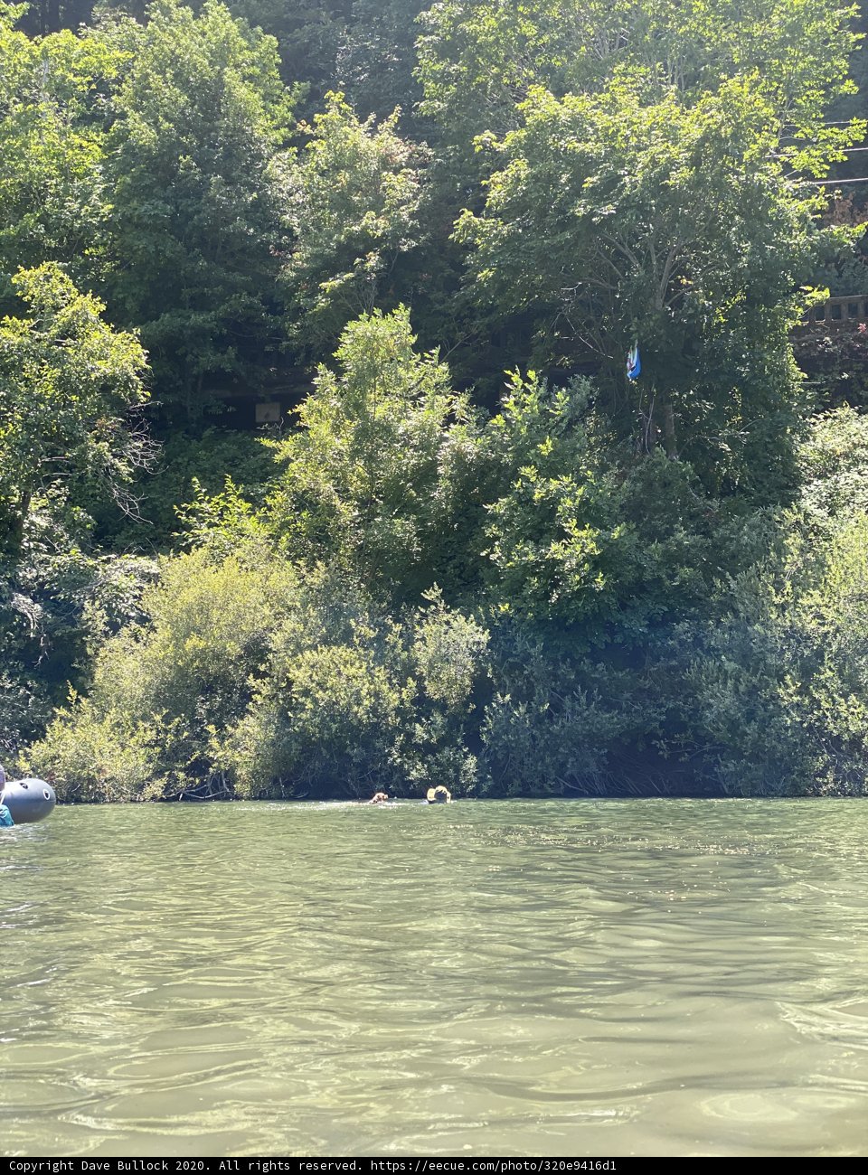 Kite-Flying Fun on the Water