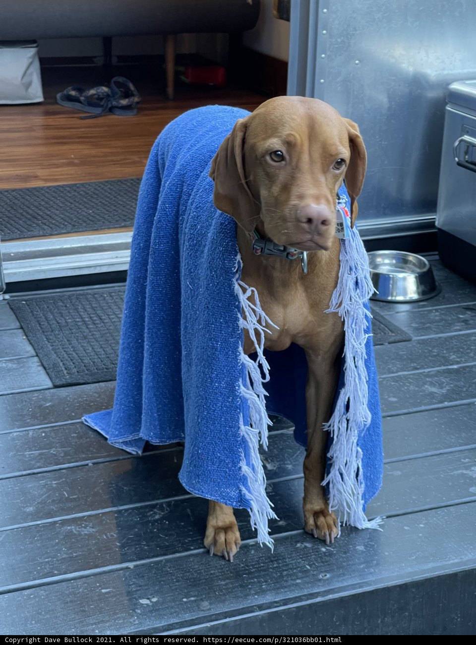 Wrapped Up and Cozy