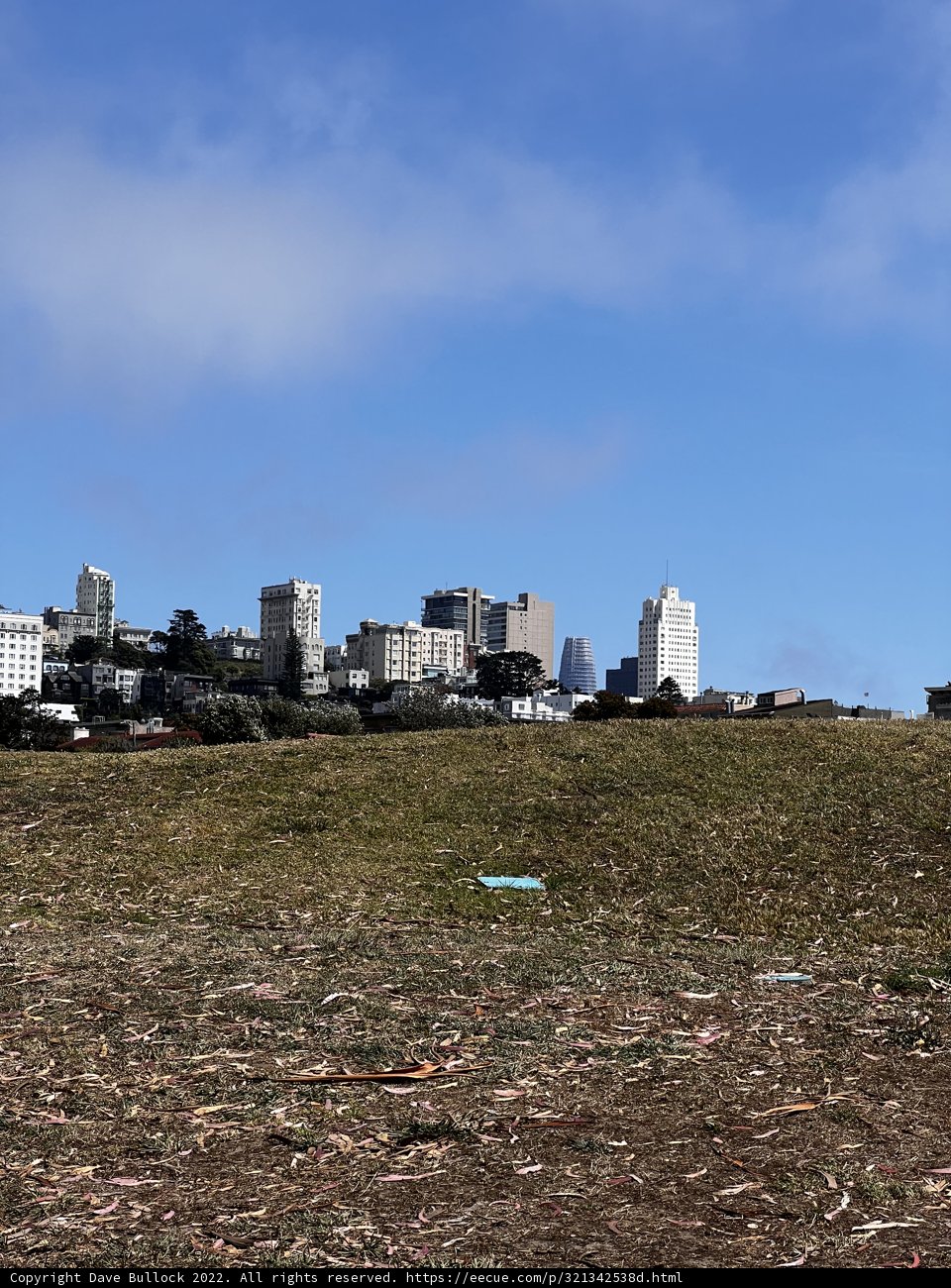 Cityscape Horizon