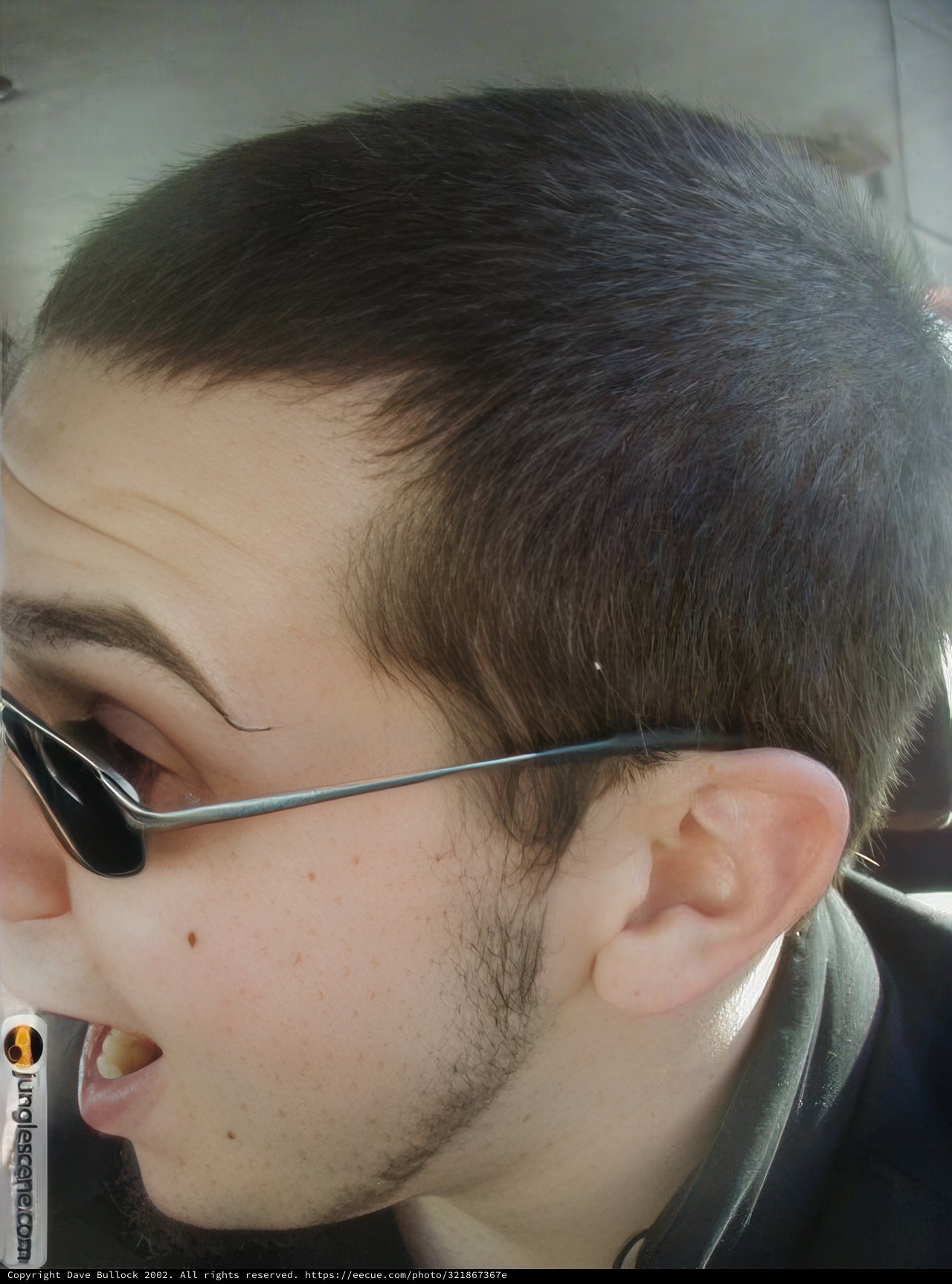 Shaded Swagger
