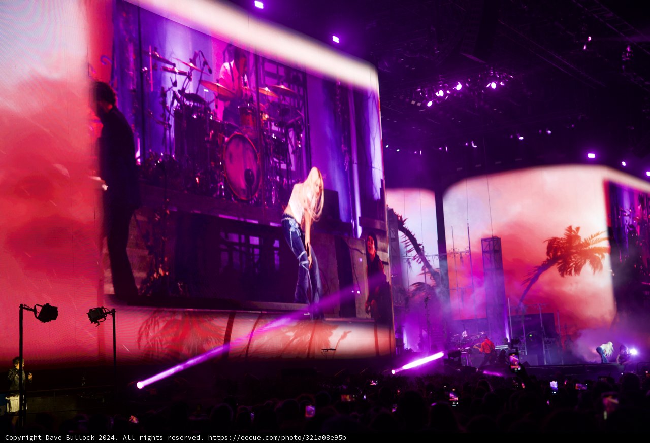 Night Vibrance at Coachella 2024