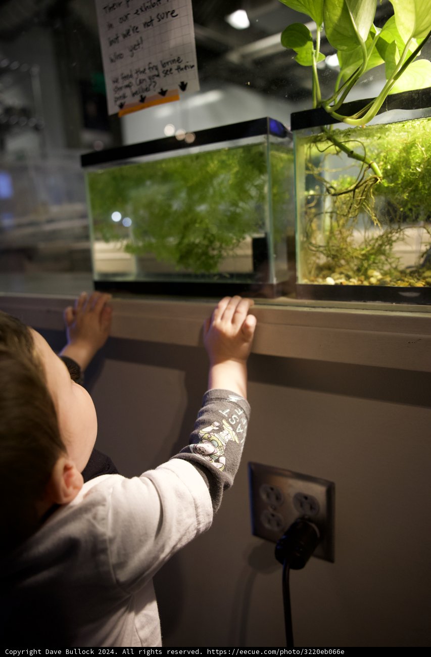 A Young Explorer's Underwater Adventure