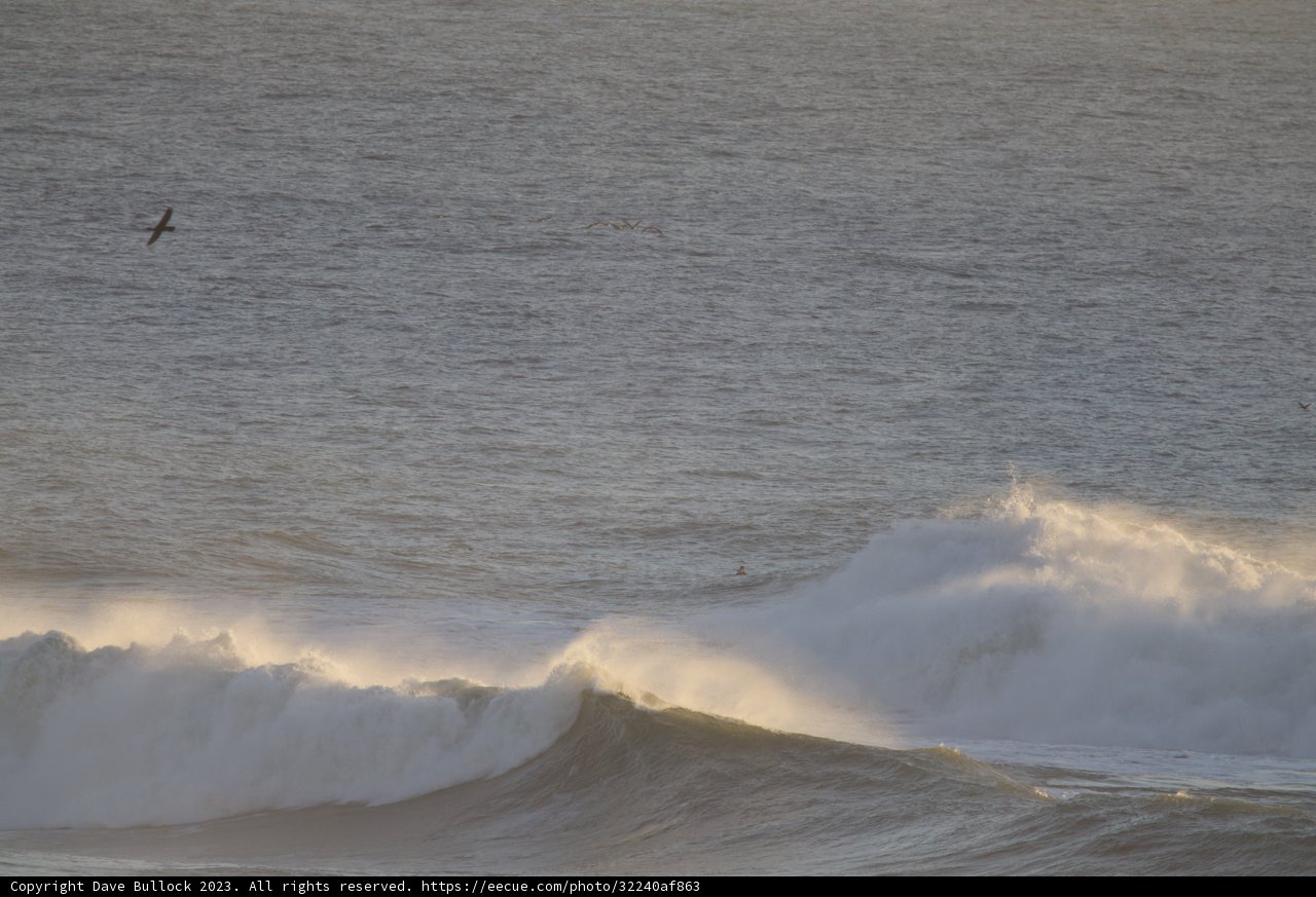 Mastering the Mavericks: A Spectacular Surf