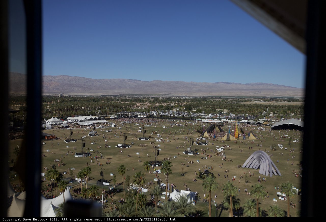 Festival Buzz from the Shelter