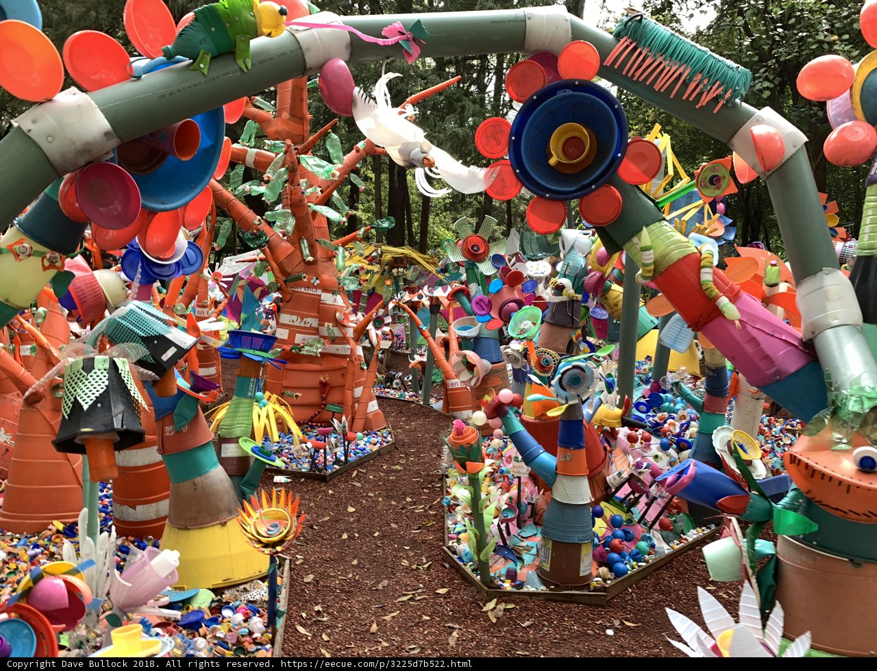 Blooming Fun in the Garden