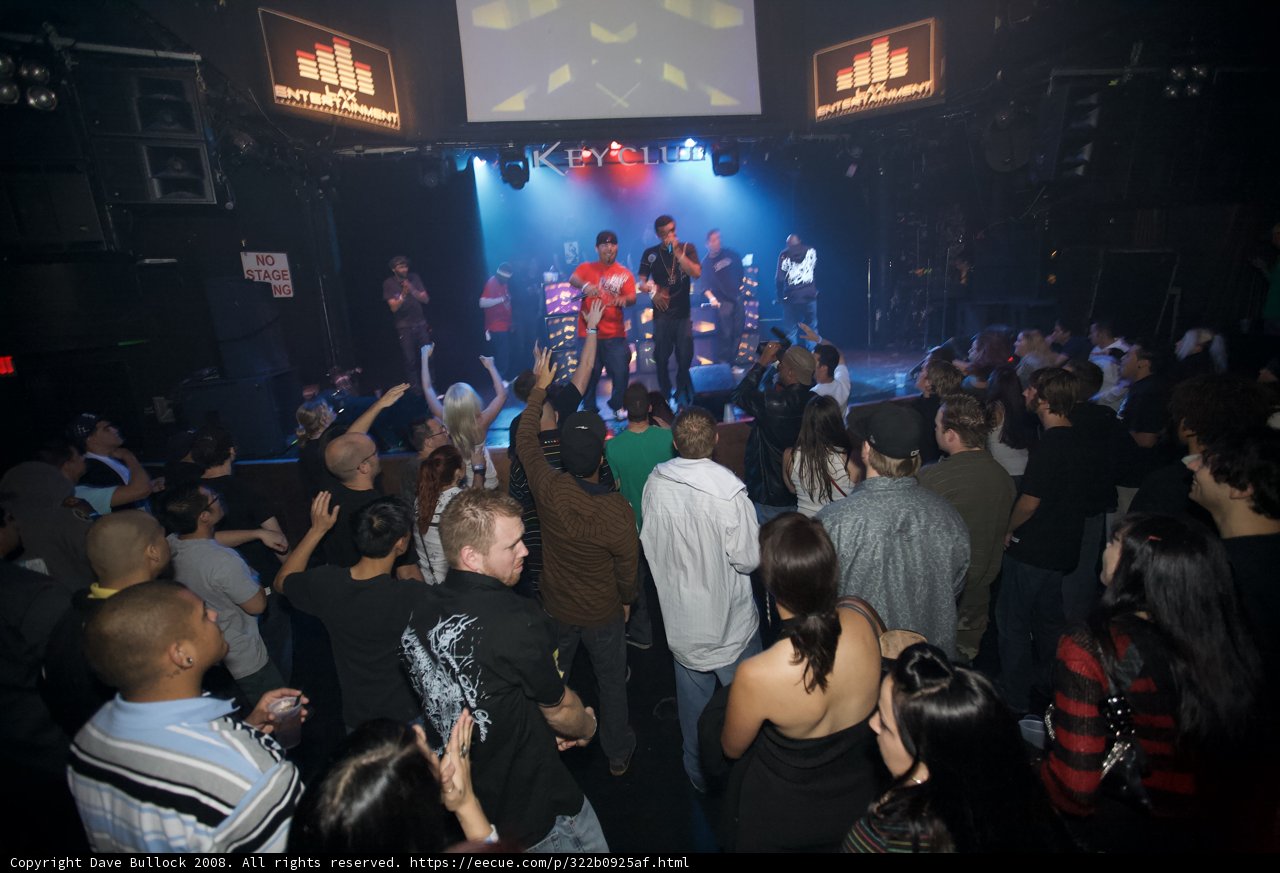 Nightclub Fever