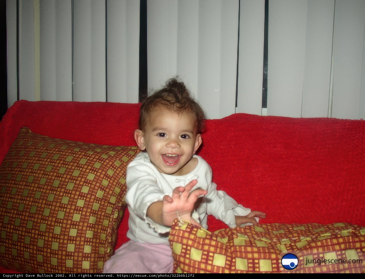 Happy Baby on the Cushioned Couch