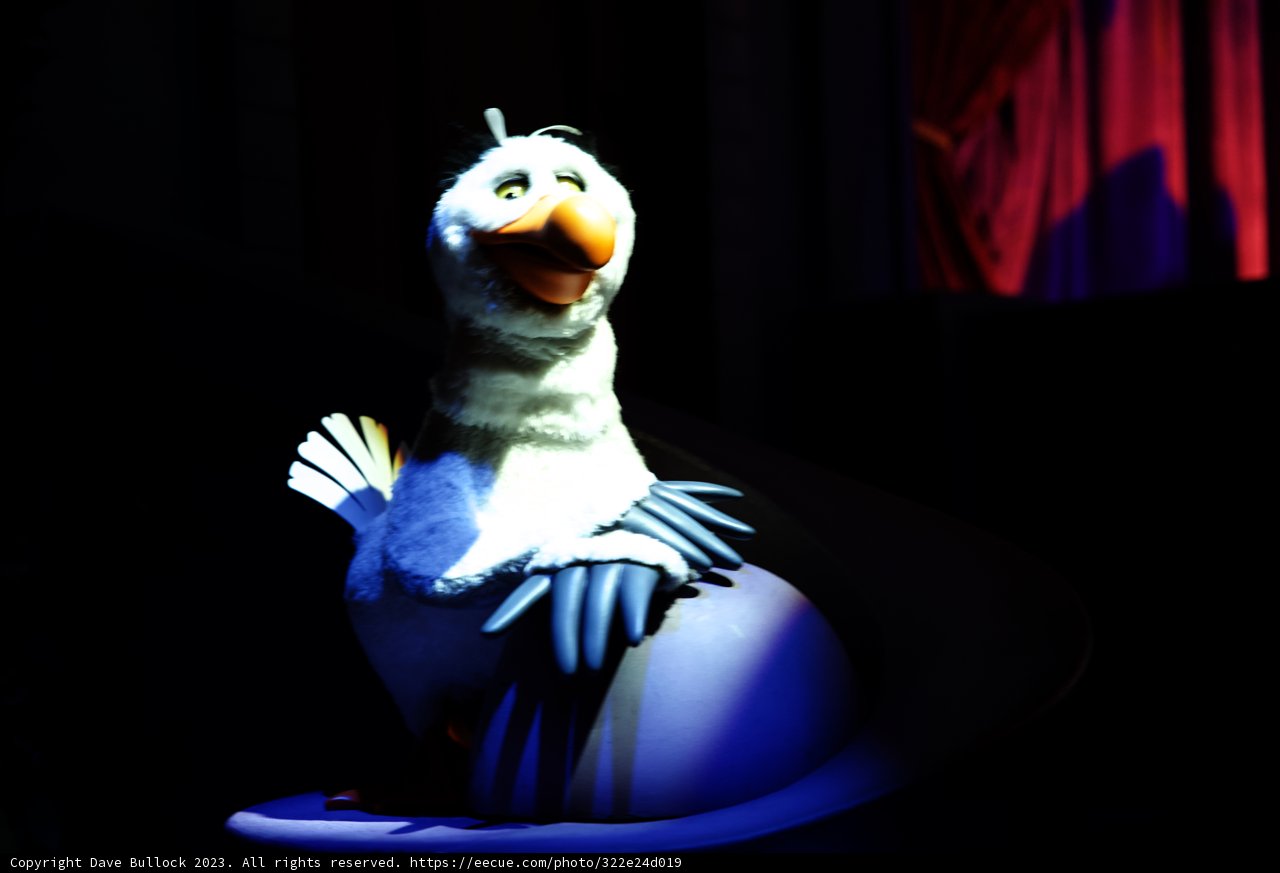 Mysterious Bird Encounter at Disneyland