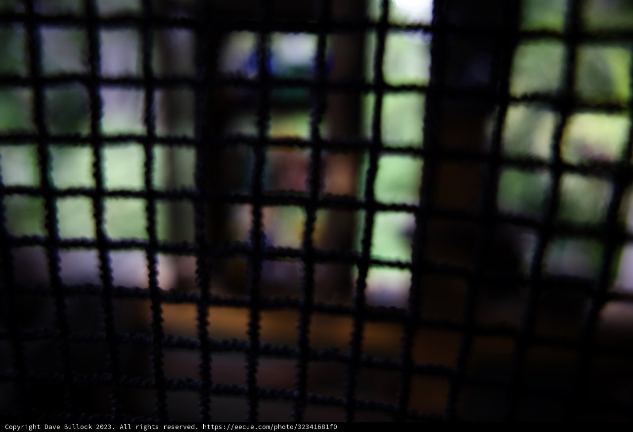 Enigmatic Mesh under Moonlight