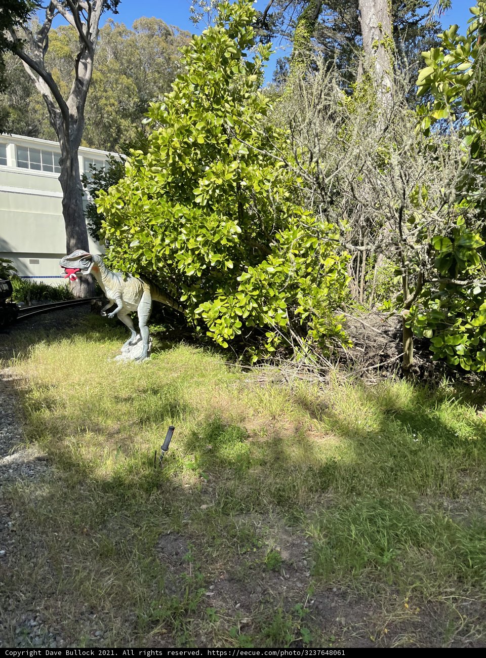 Dinosaur Statue in Garden Grove