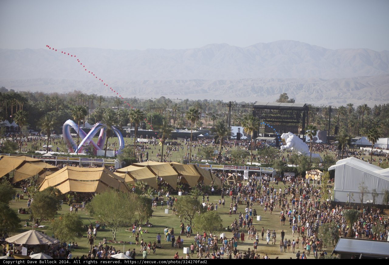 Festival Frenzy