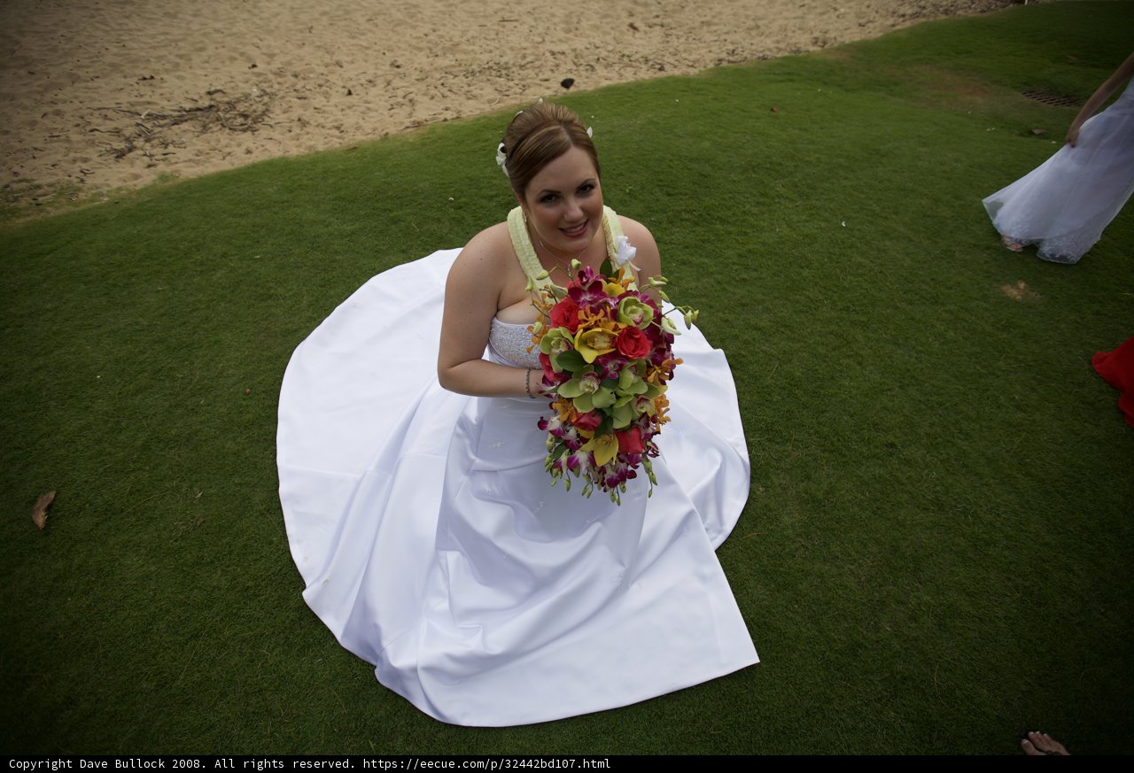 A Blissful Bride in White