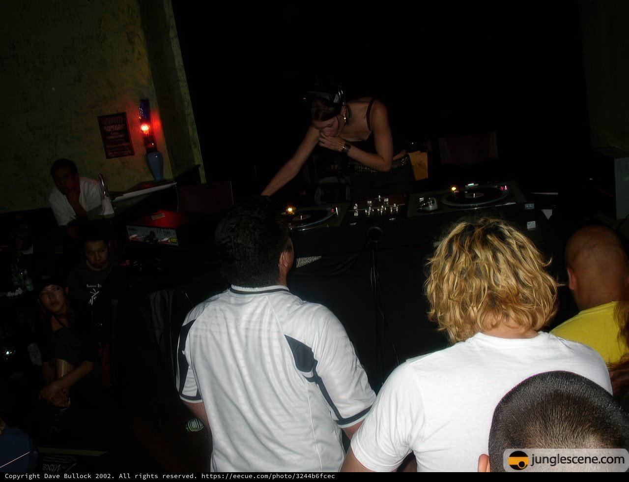 Nightclub Wedding Reception with DJ
