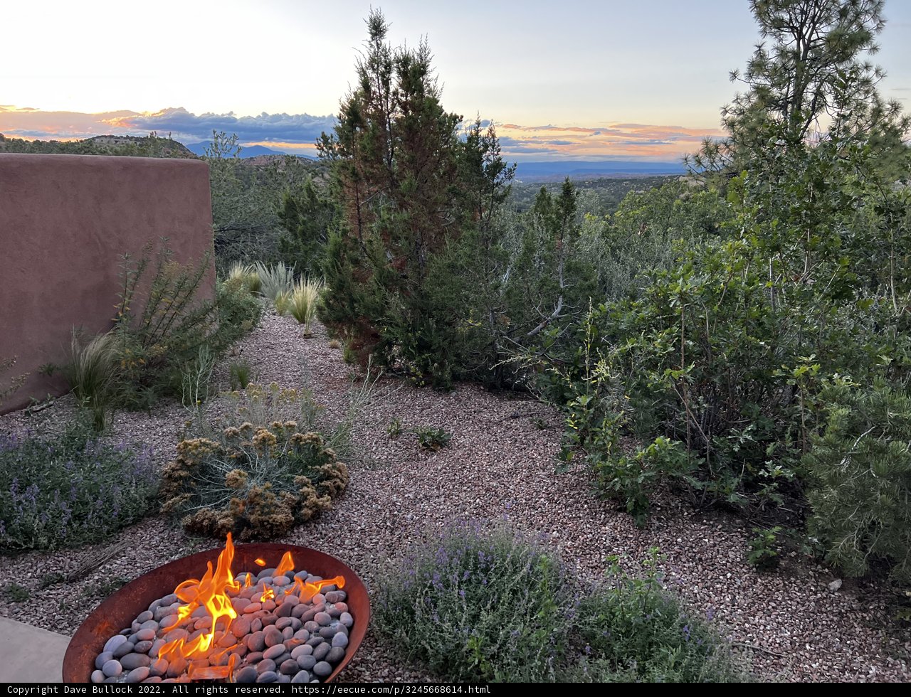 Desert Bonfire Bliss
