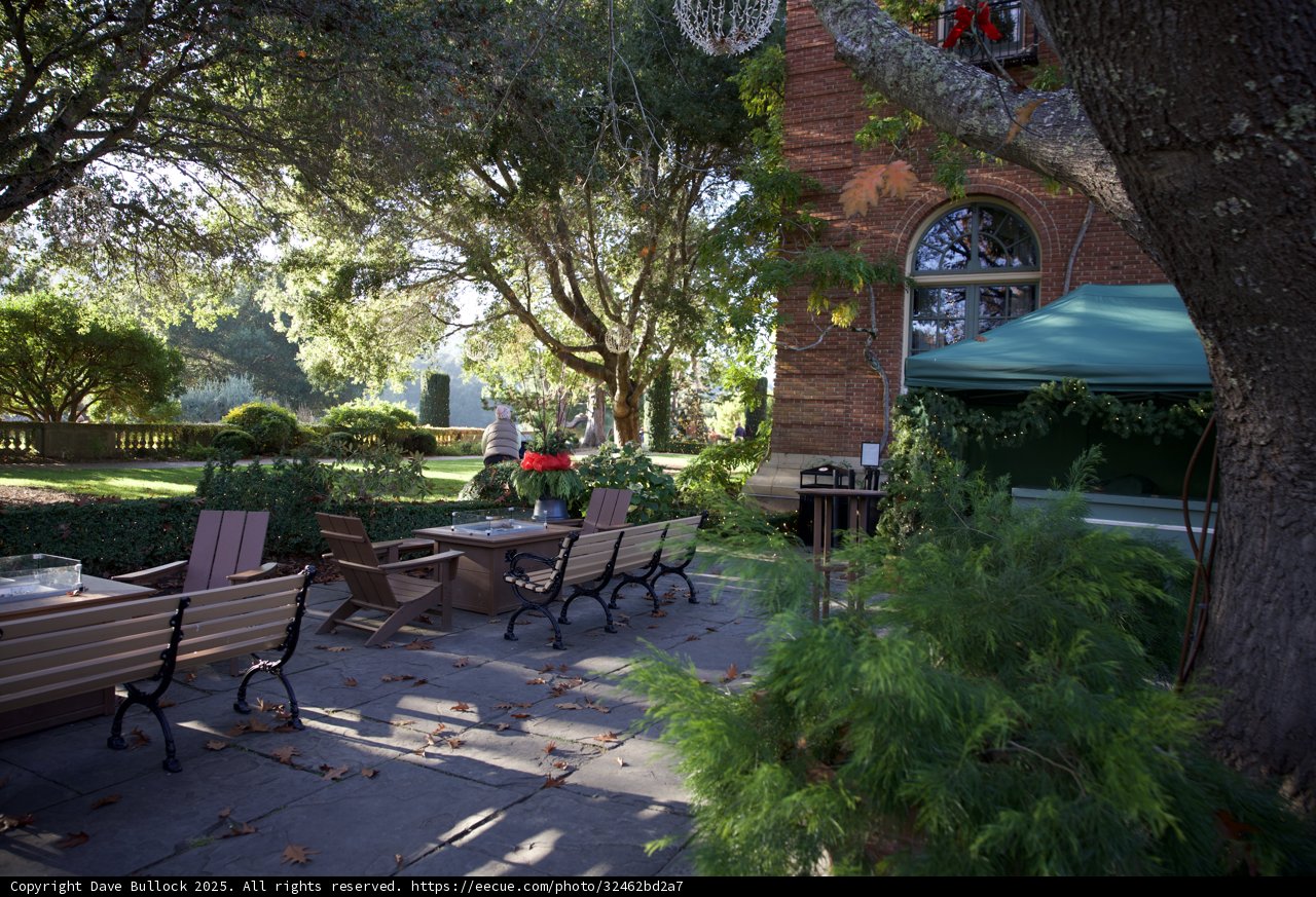 Tranquil Afternoon at Thistlewyck Garden