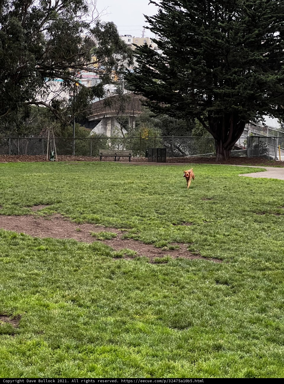 Running Free