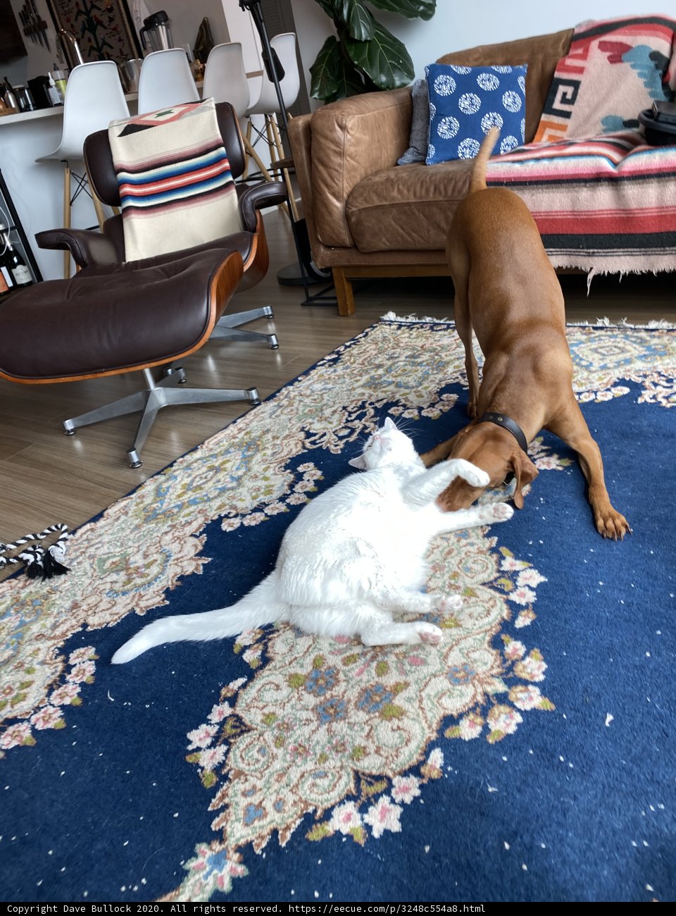 Playtime with Friends