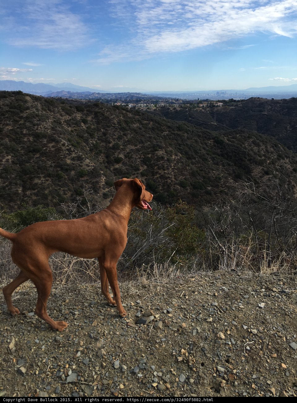 Switchback Trail