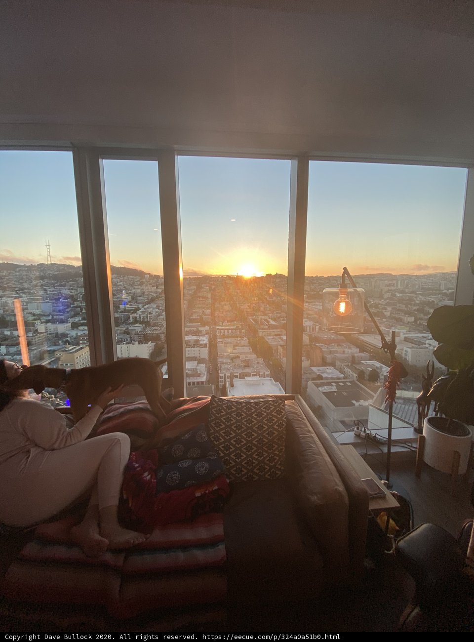 Cozy Living Room with Furry Companion