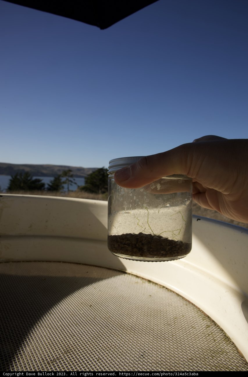 A Refreshing Toast to Nature's Splendour