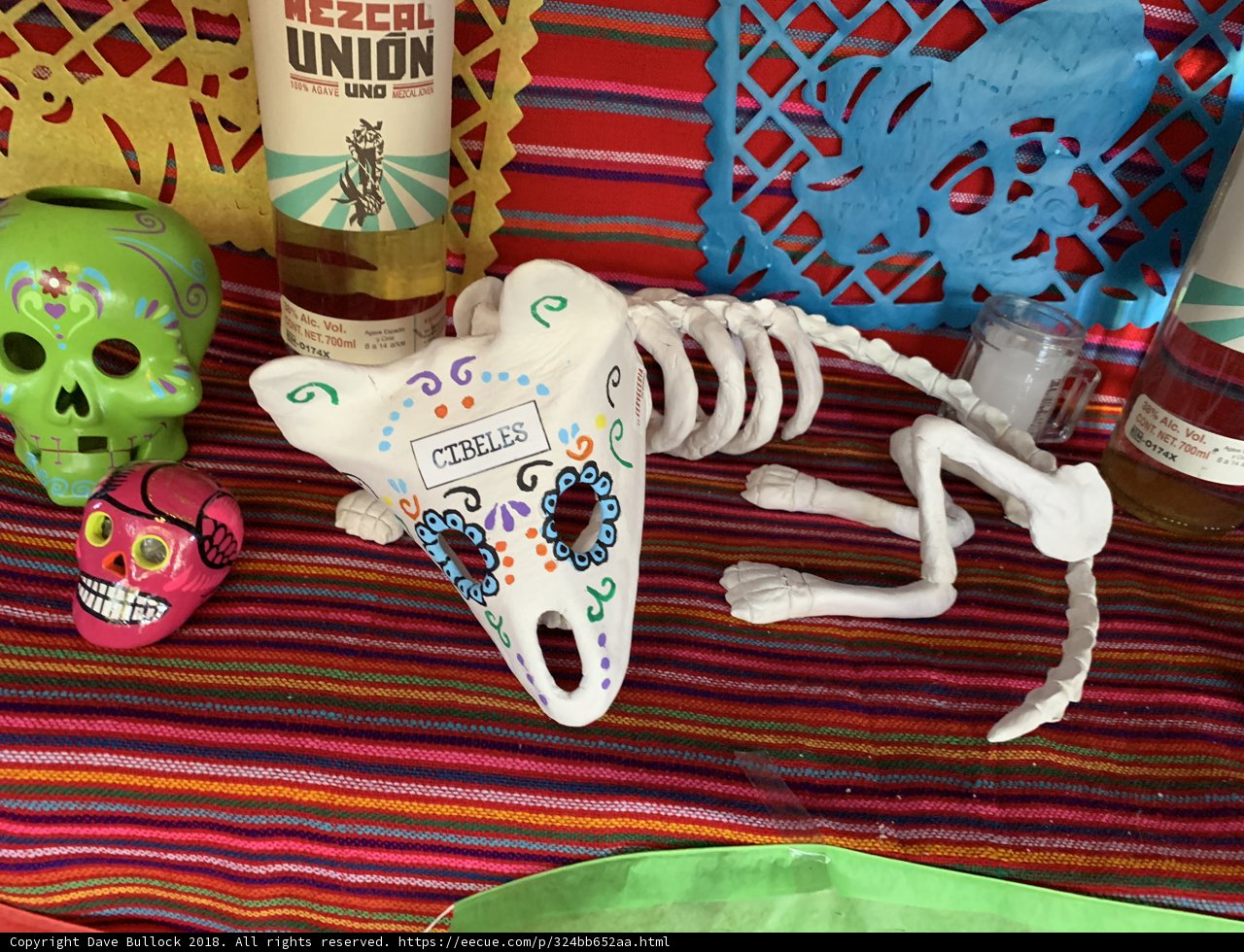 Skeleton in the Booze