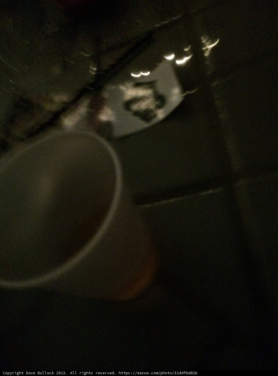 Potty Break