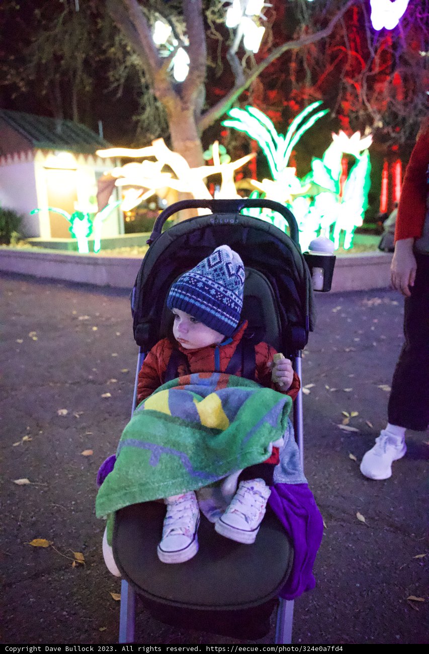 Starlit Stroll at the Glowfari