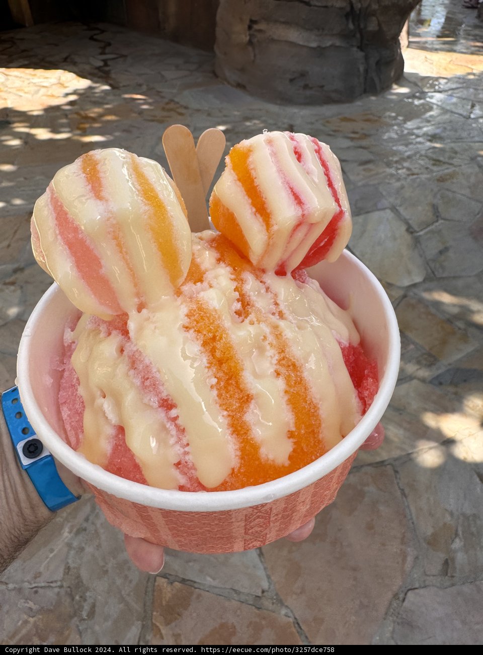 Tropical Treats at Aulani