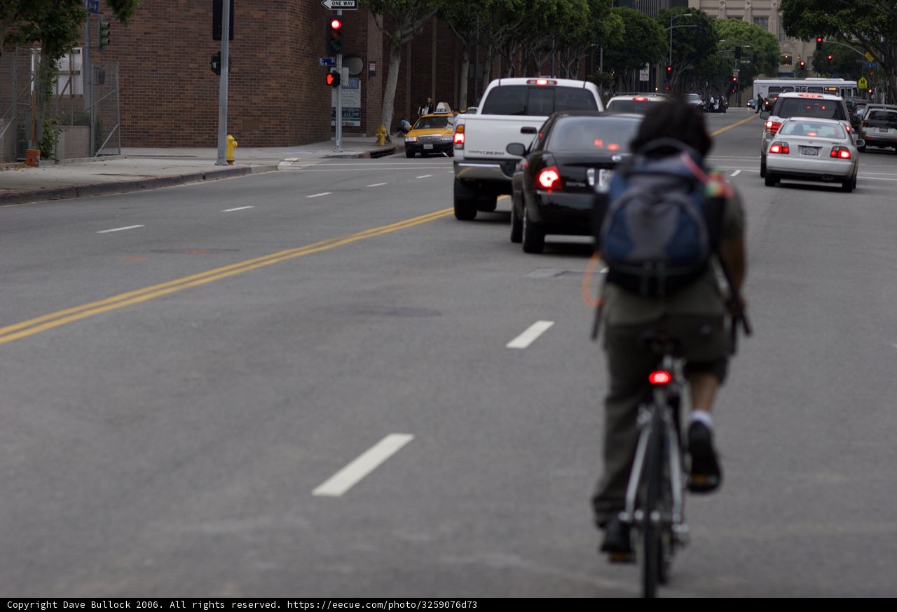 Pedaling Down the Street