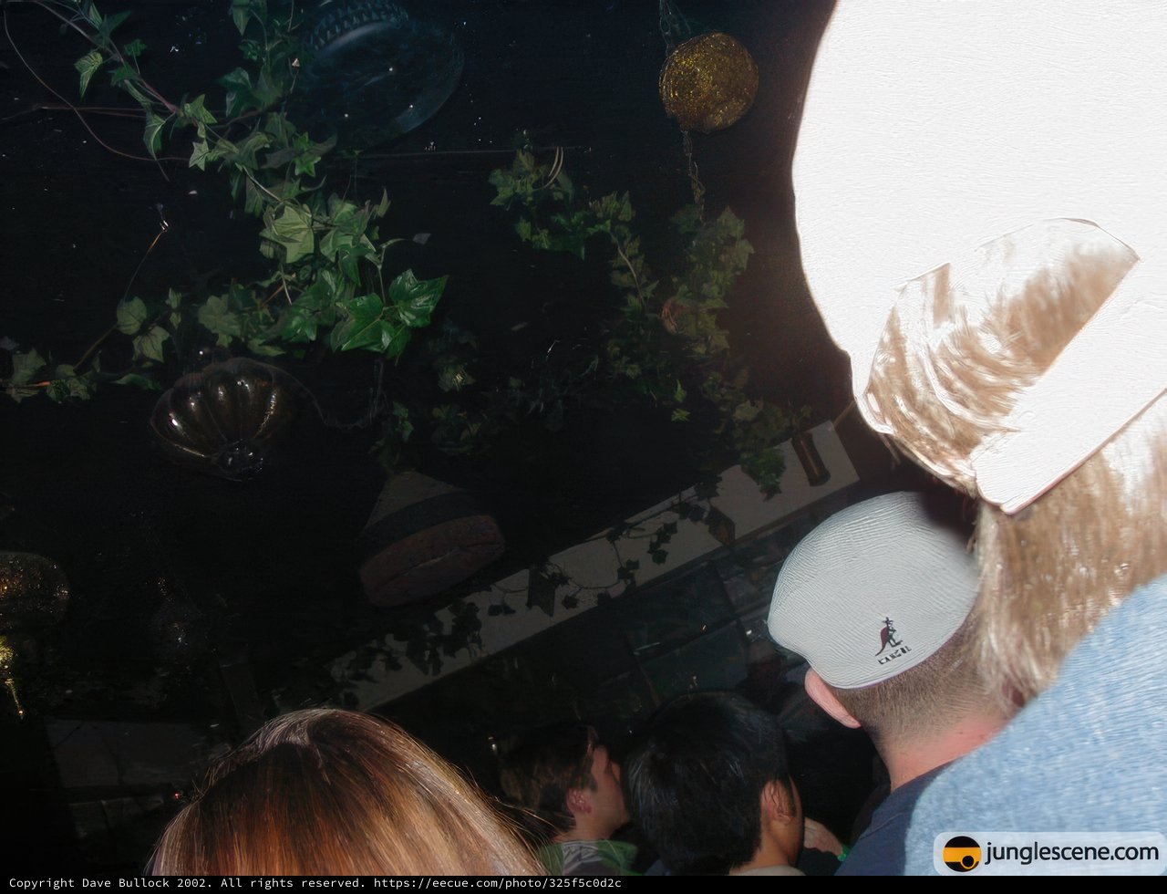 Nightclub Fun with a White Hat
