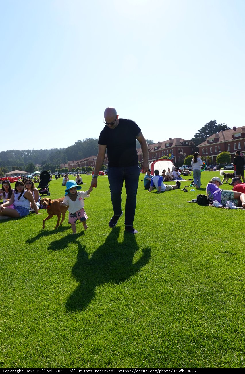 Summer Days: Man's Best Friend in the Great Outdoors