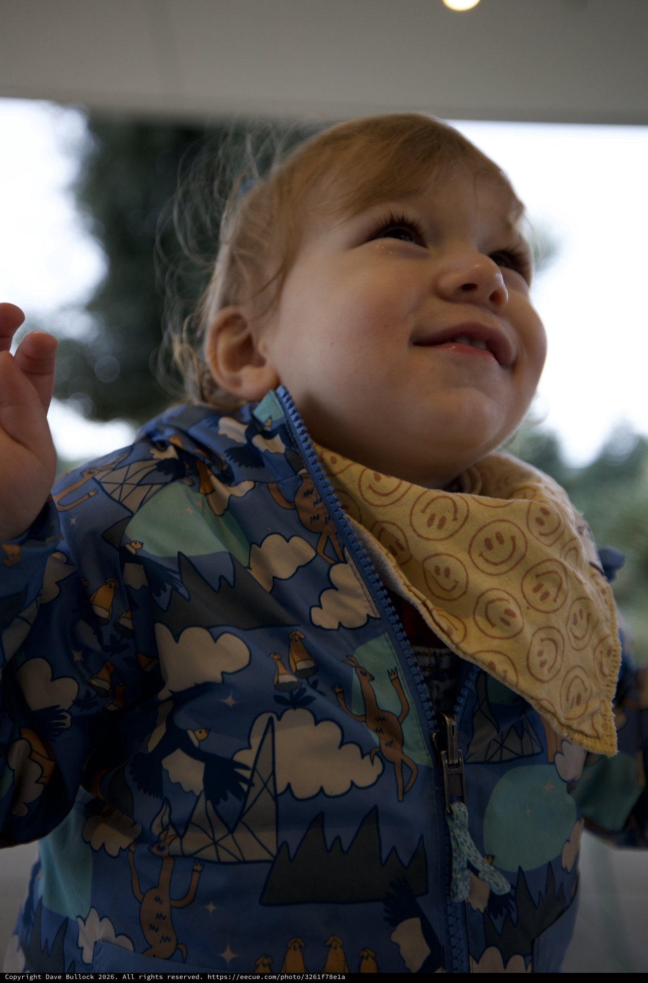 Joyful Toddler in Airplane Print Jacket Looking Up