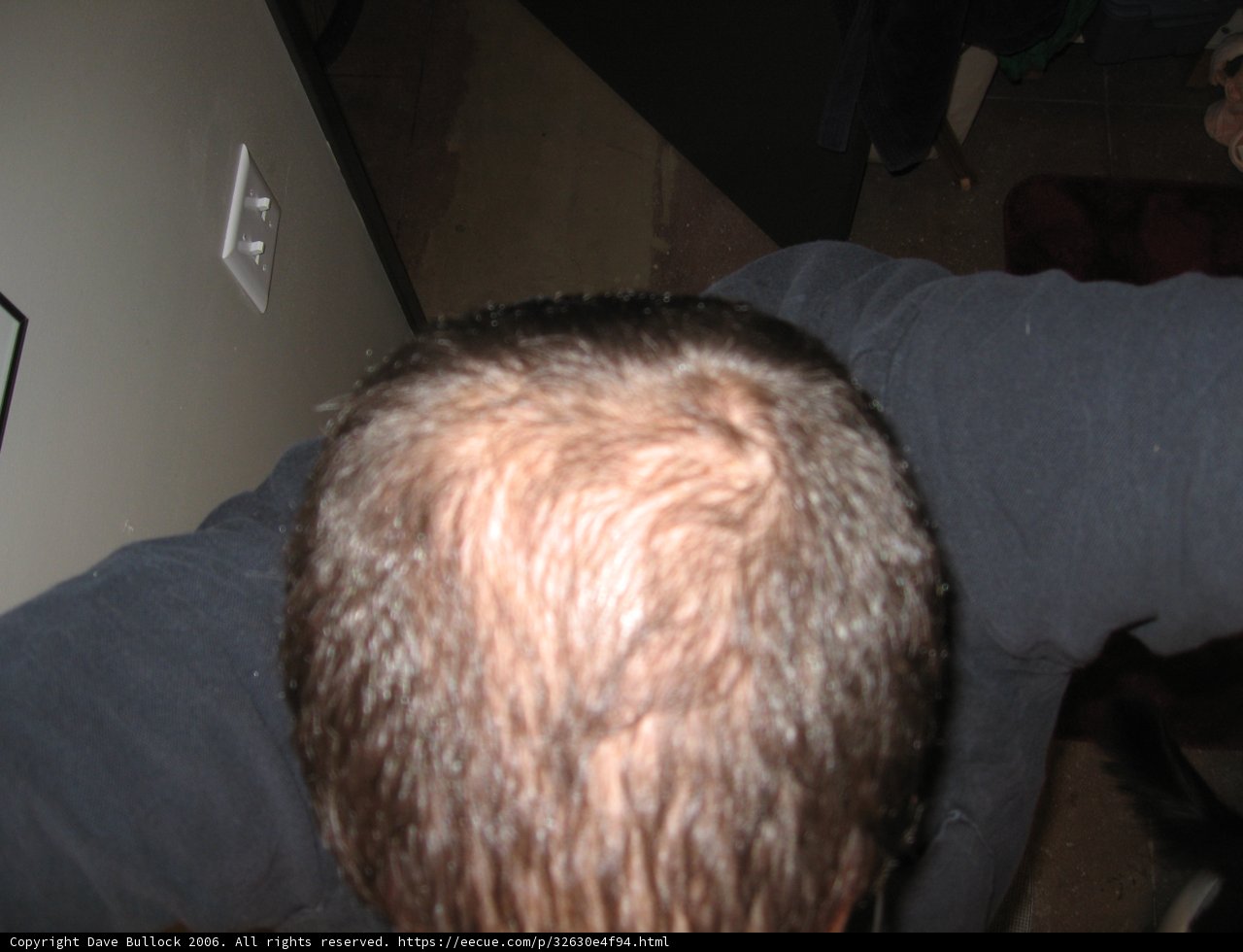 Balding Man on Plywood Couch